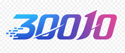 30010